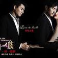 華麗一族(中國2013年李欣汝、高以翔主演電視劇) 華麗一族(中國2013年李欣汝、高以翔主演電視劇)
