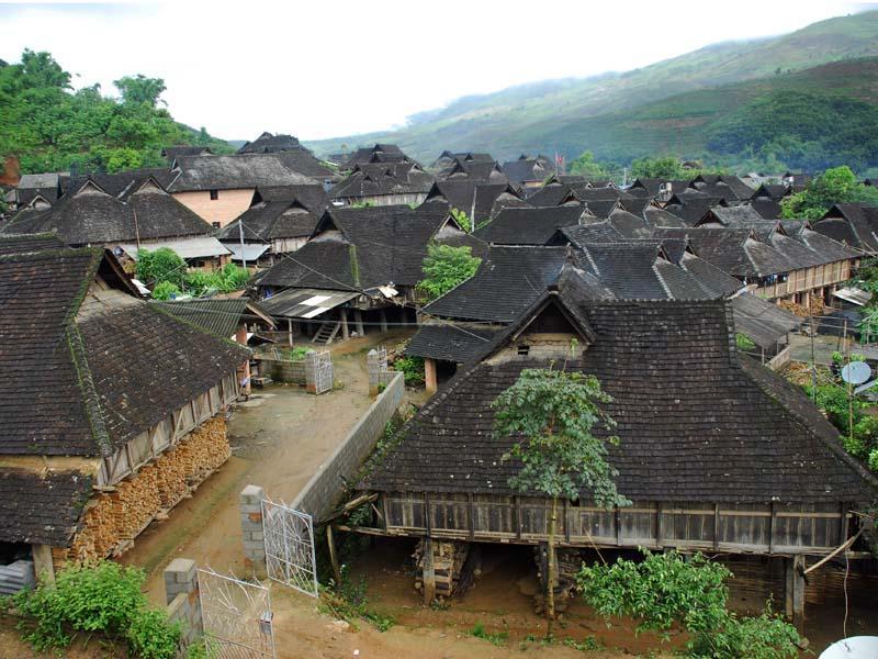 新曼傘村 新曼傘村