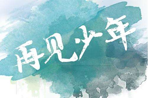 再見少年(張磊演唱歌曲)