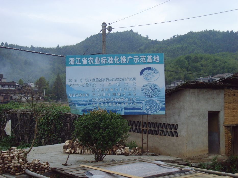 白平村(雲南省劍川縣金華鎮下轄村) 白平村(雲南省劍川縣金華鎮下轄村)