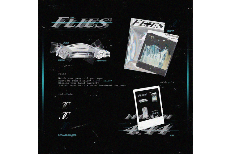 Flies Flies