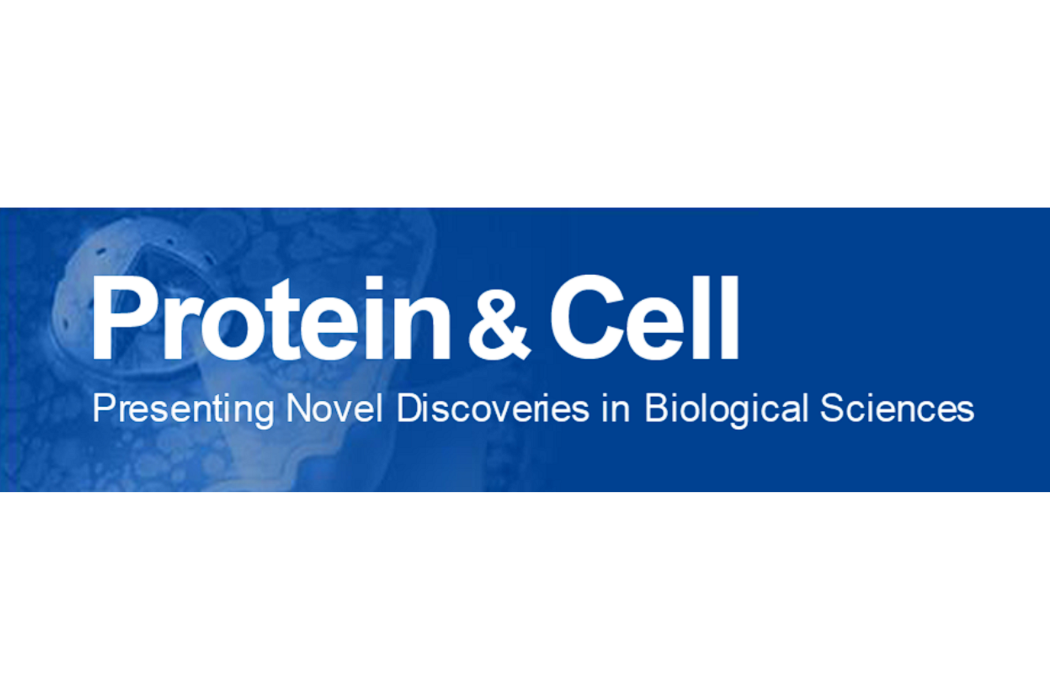 Protein & Cell Protein & Cell
