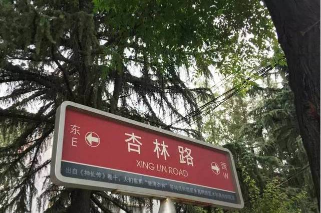 杏林路(鄭州市滎陽市杏林路) 杏林路(鄭州市滎陽市杏林路)