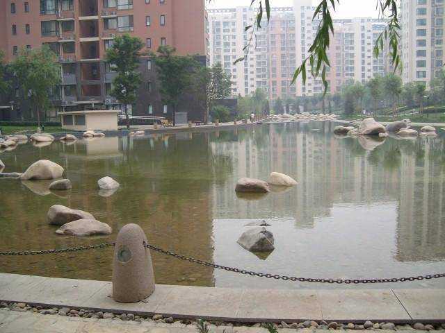 金星園 金星園