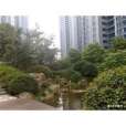 近江三園 近江三園