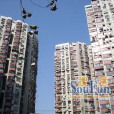天晉小區 天晉小區