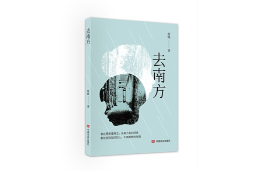 去南方(2023年中國言實出版社出版的圖書) 去南方(2023年中國言實出版社出版的圖書)