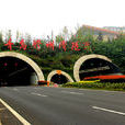 青島膠州灣隧道(膠州灣隧道)