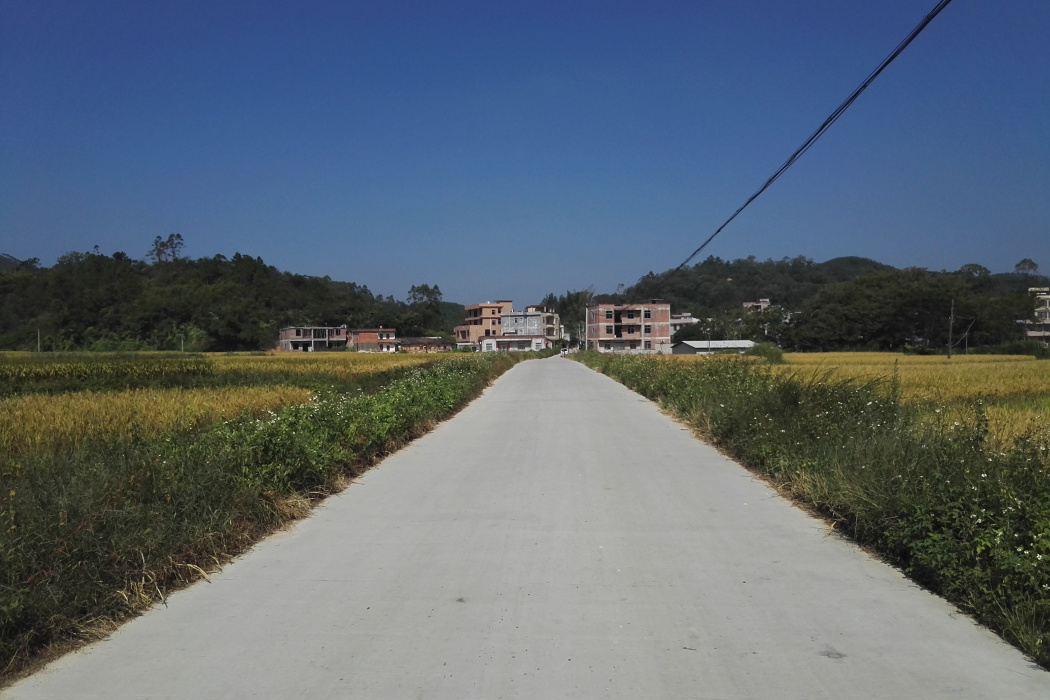大垌村(廣西壯族自治區玉林市博白縣大垌鎮下轄村) 大垌村(廣西壯族自治區玉林市博白縣大垌鎮下轄村)