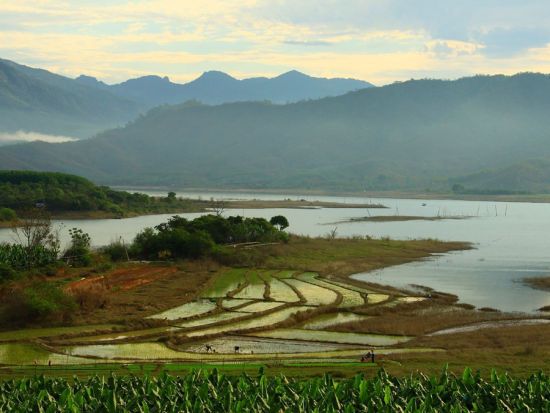 大河流村 大河流村