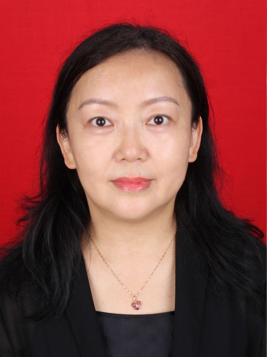 李敏(重慶市長壽區審計局黨組成員、副局長)