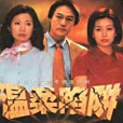溫柔陷阱(2001年向北執導的電視劇) 溫柔陷阱(2001年向北執導的電視劇)