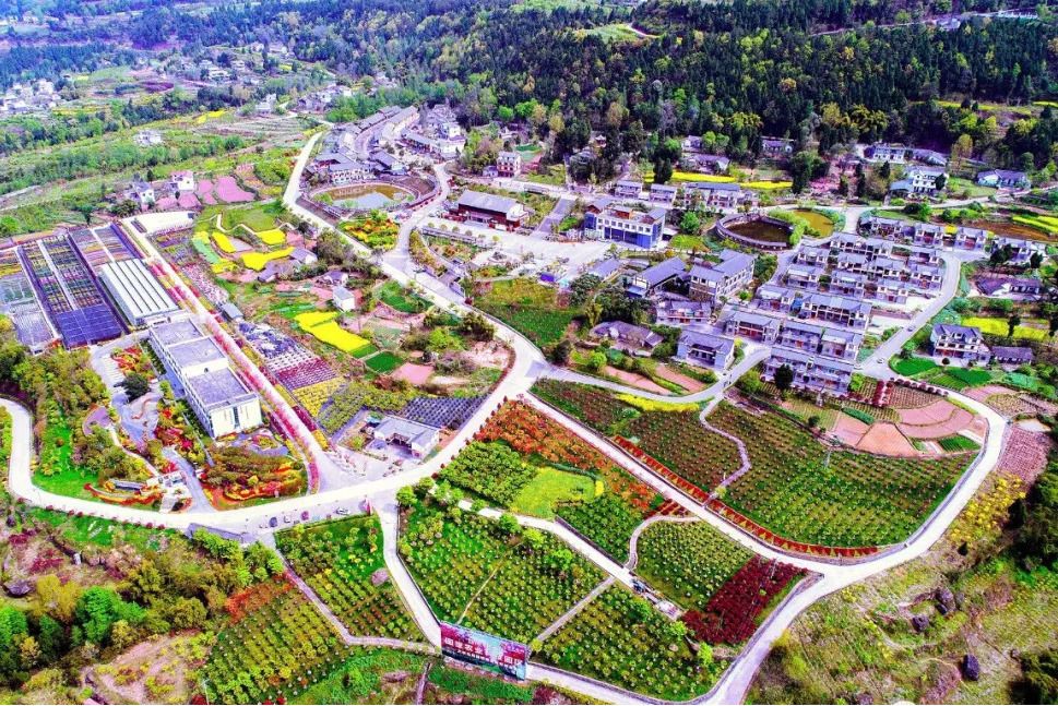 長灘村(四川省巴中市南江縣正直鎮下轄村) 長灘村(四川省巴中市南江縣正直鎮下轄村)