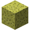 海綿(Minecraft中的方塊)