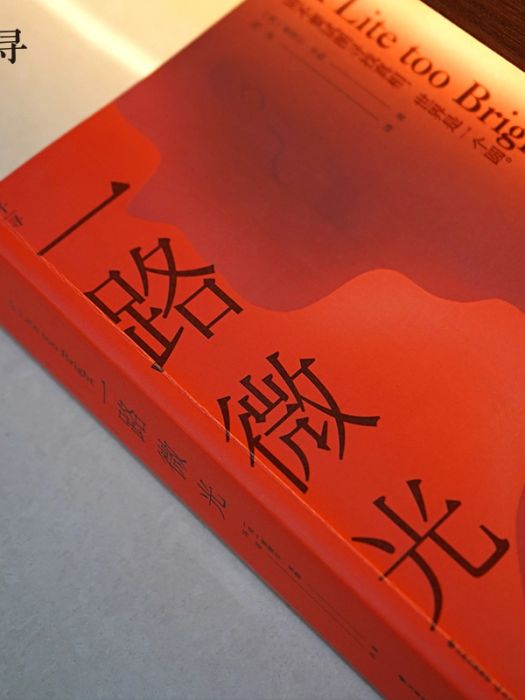 一路微光(2021年晨光出版社出版的圖書) 一路微光(2021年晨光出版社出版的圖書)