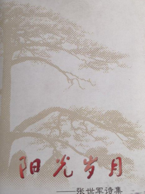 陽光歲月(2007年人民文學出版社出版的圖書) 陽光歲月(2007年人民文學出版社出版的圖書)