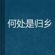 何處是歸鄉 何處是歸鄉