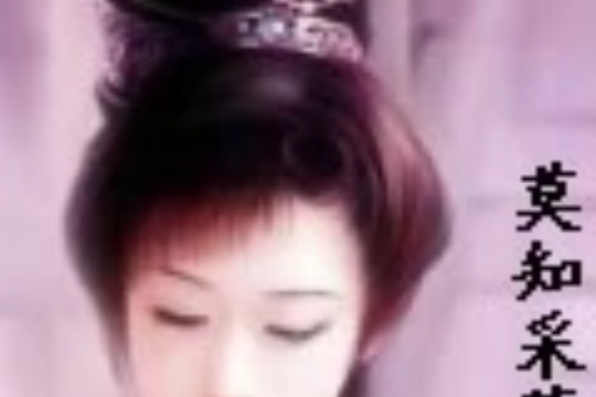 盛唐仙蹤 盛唐仙蹤