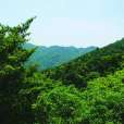 廣東揭東桑浦山—雙坑省級自然保護區