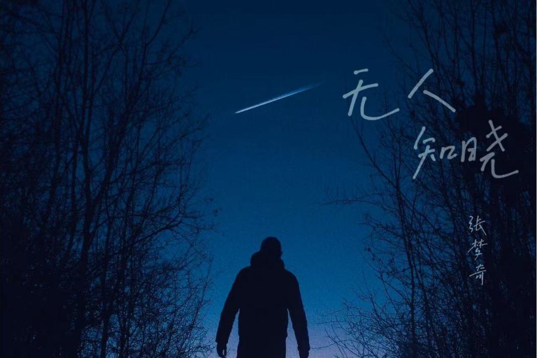 無人知曉(張夢奇創作的音樂專輯) 無人知曉(張夢奇創作的音樂專輯)