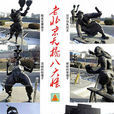 八大怪