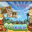 小小探險家(遊戲) 小小探險家(遊戲)