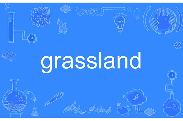 Grassland Grassland