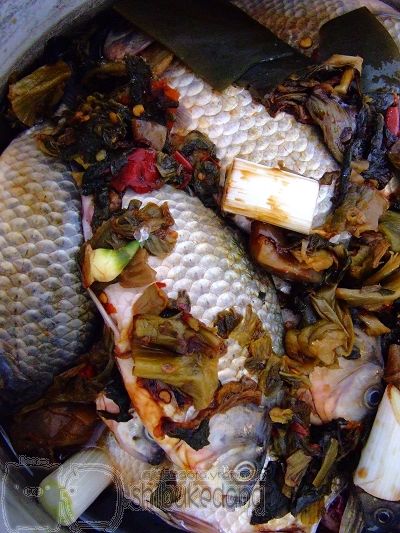 酸菜鯽魚卷 酸菜鯽魚卷