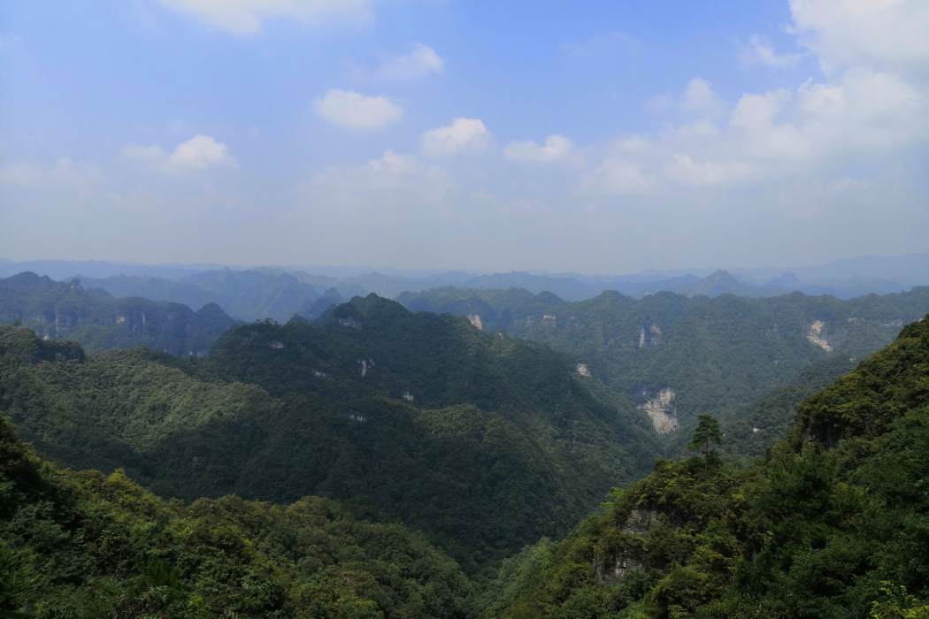 岩溶基準面 岩溶基準面
