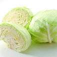 捲心菜(大頭菜) 捲心菜(大頭菜)