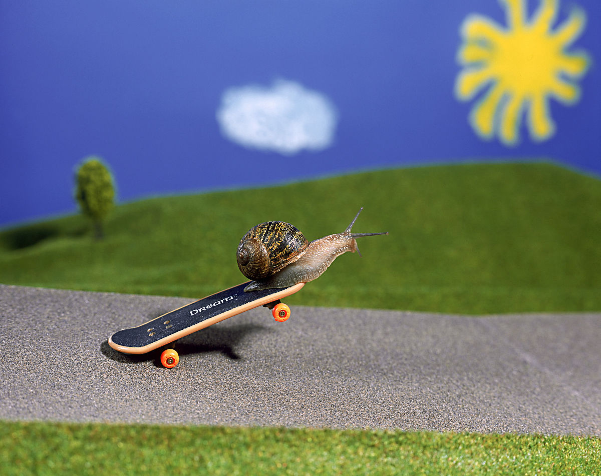 模擬滑板