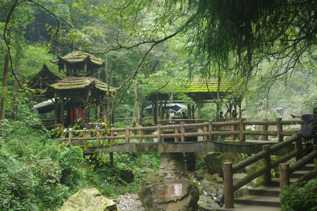青城四絕 青城四絕