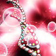 生物學(自然科學六大基礎學科之一)