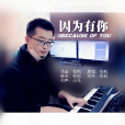 因為有你(楊楓演唱的歌曲) 因為有你(楊楓演唱的歌曲)