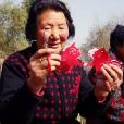 李秀芳(青島大學醫學院附屬醫院教授) 李秀芳(青島大學醫學院附屬醫院教授)