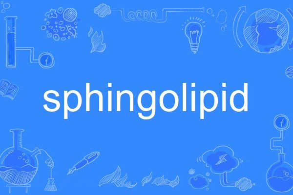 sphingolipid sphingolipid