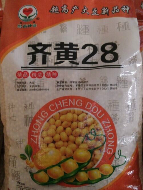齊黃28號 齊黃28號
