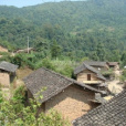 大碗盞村 大碗盞村