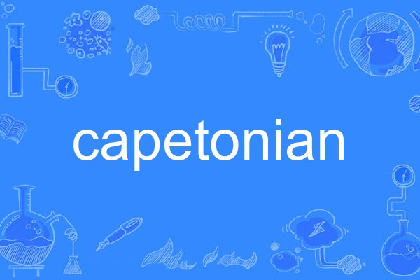 capetonian capetonian