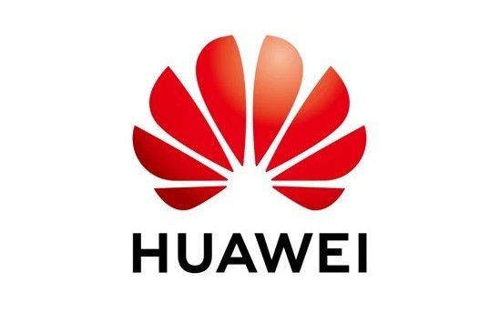 菊廠 菊廠