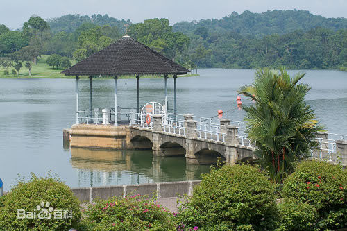 貝雅士蓄水池是新加坡最早建成的水庫之一