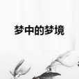 夢中的夢境 夢中的夢境