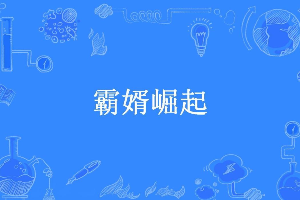 霸婿崛起(三生所著小說) 霸婿崛起(三生所著小說)