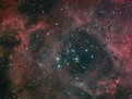 薔薇星雲(簡稱為NGC2237)