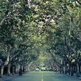 復興西路(上海市復興西路) 復興西路(上海市復興西路)