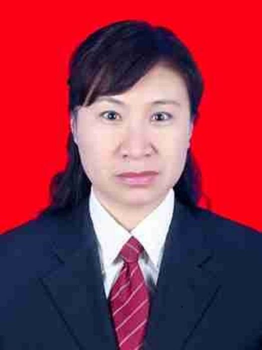 李婧(石嘴山市大武口區政府副區長) 李婧(石嘴山市大武口區政府副區長)
