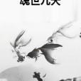 魂世九天 魂世九天