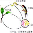 生物類群