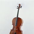 大提琴(次中音或低音弦樂器)