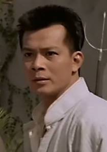 醉拳Ⅱ(成龍1994年主演電影)